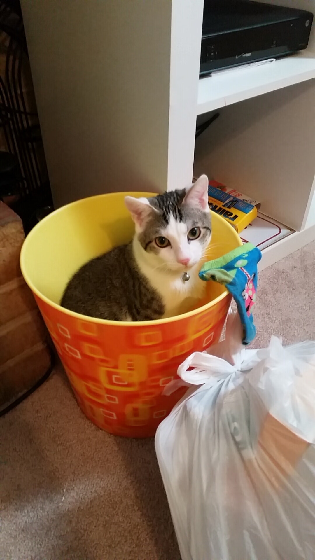 巨人的沉默,当坎特用14分钟让奥运悬念提前终结